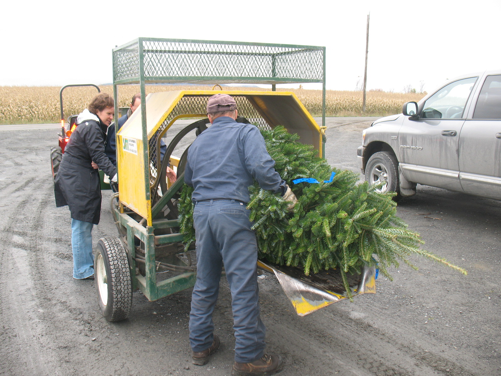 Bailing Christmas Trees