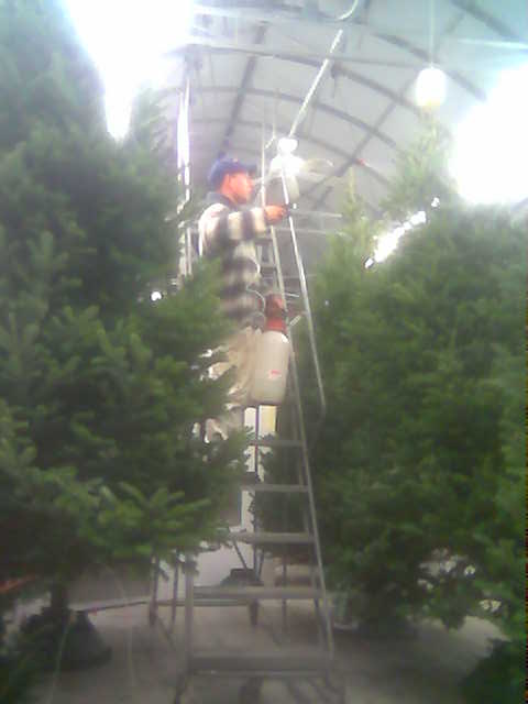 fireproofing