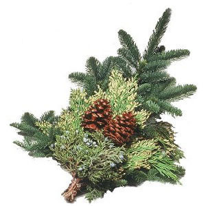 noble fir swag