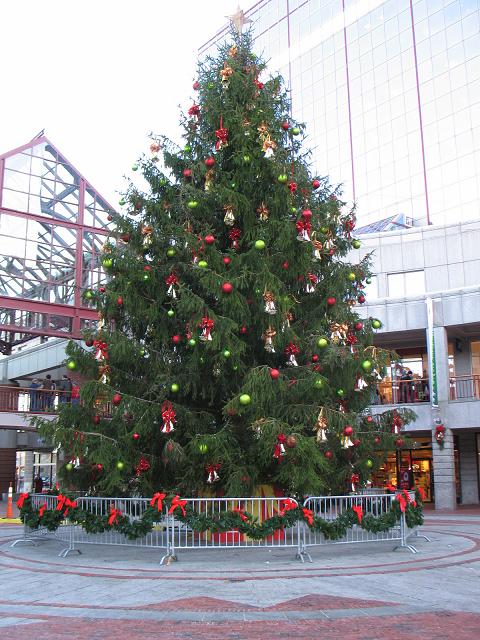 Boston Large Christmas Tree